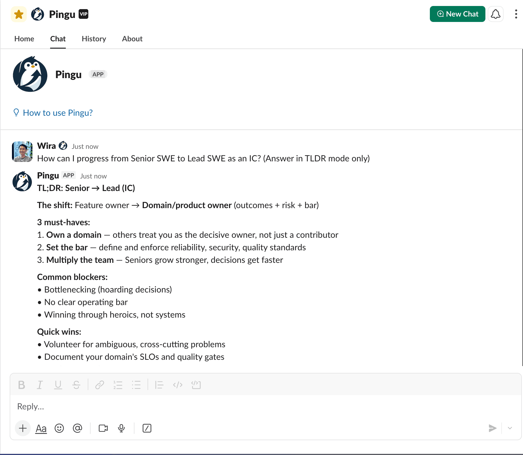 Slack DM conversation with Pingu